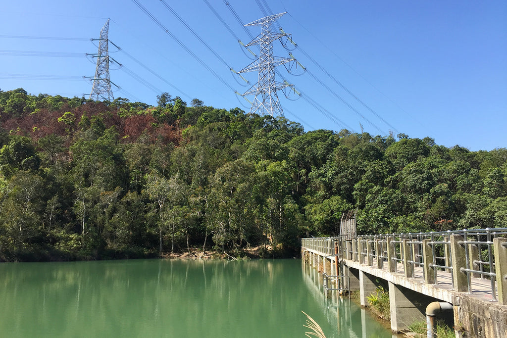 LamTei Reservoir 藍地水塘